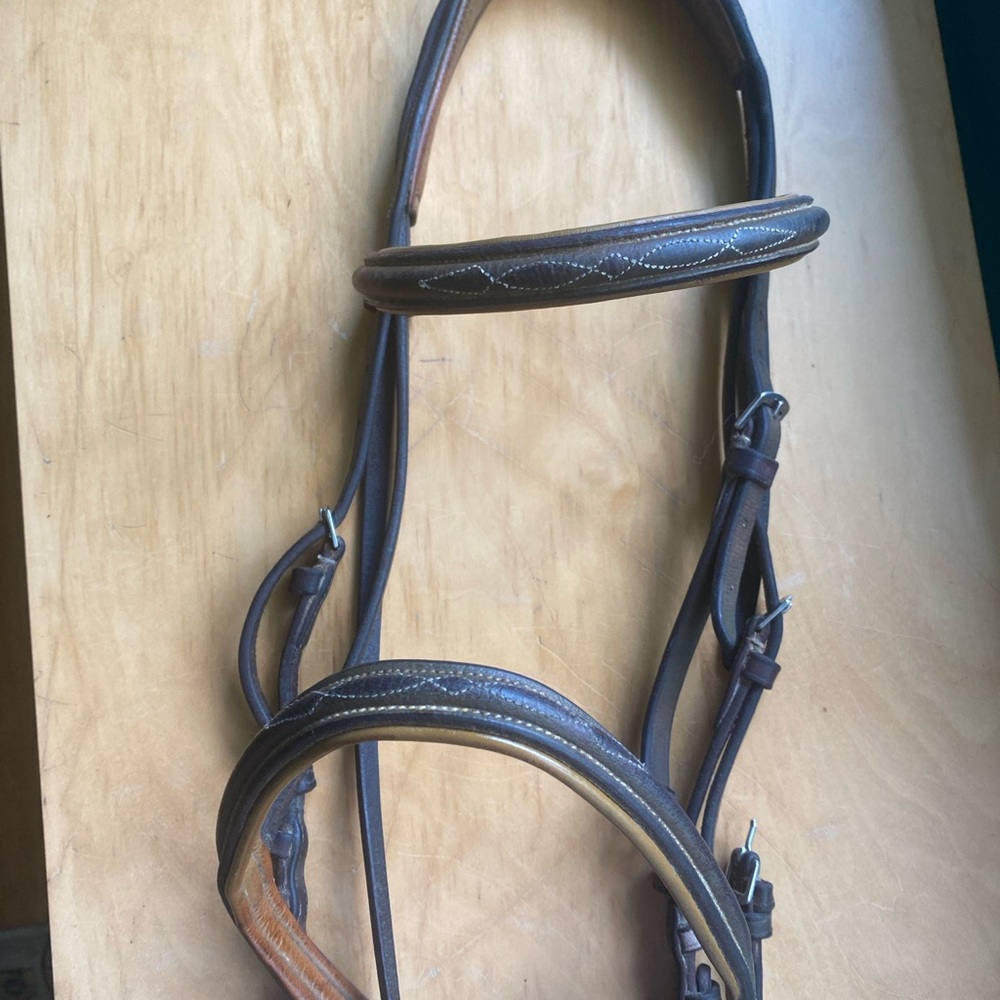 Cob Sized Padded Bridle